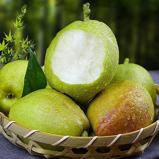 【食礼疆南】新疆库尔勒香梨现采摘新鲜水果精品 一级/特级 家庭装8斤/箱(QF) 商品图2
