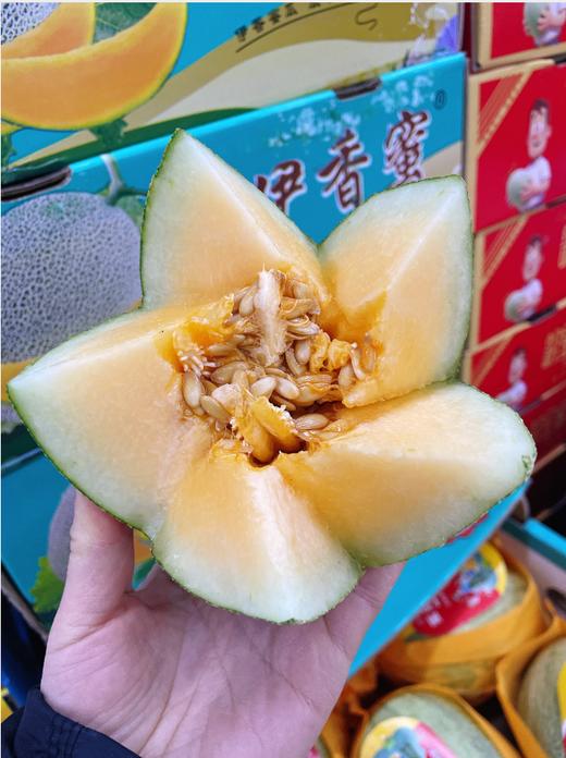 伊香蜜甜脆哈密瓜一箱 商品图4