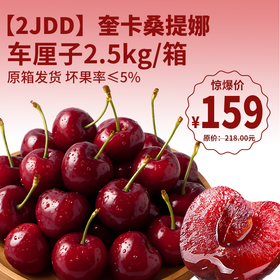 【鲜货】约5斤装2JDD奎卡 桑提娜车厘子 饱满多汁 香甜爽口  新鲜到货 原箱发货 坏果率≤5%