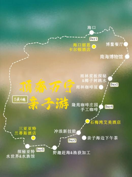 【2026冬令营 | 5天4晚】顶奢万宁，住1晚亚特兰蒂斯+2晚石梅湾艾美+1晚丽思，嘉年华，冲浪，赶海，椰子树跳水，咖啡 商品图4