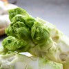 每日伊藤儿菜头 700g/盒 商品缩略图3
