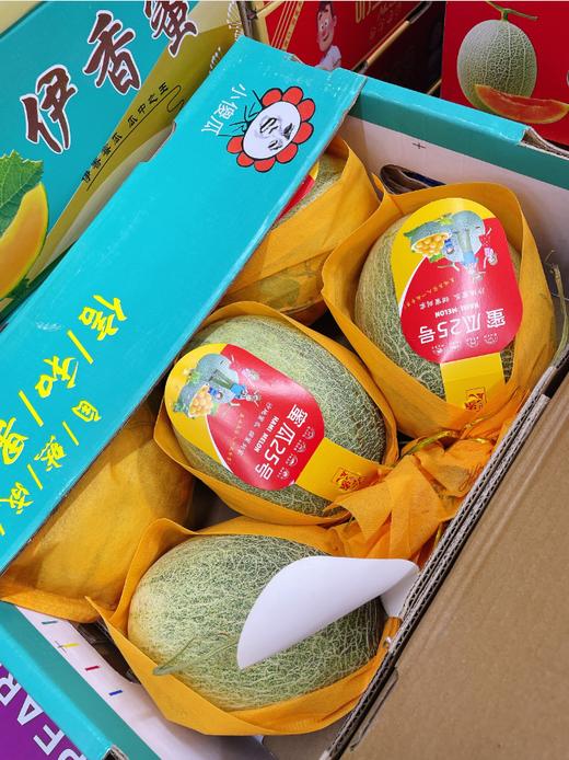 伊香蜜甜脆哈密瓜一箱 商品图2