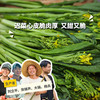 生态迟菜心（包邮）| 绿家自产* Eco- Chicaixin group-buy | Self-production 商品缩略图0