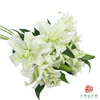 重瓣百合-白色 5枝一扎 商品缩略图2