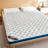 自然醒亲肤3E椰棕泰国乳胶床垫-格调蓝 SA 商品缩略图2