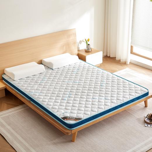 自然醒亲肤3E椰棕泰国乳胶床垫-格调蓝 SA 商品图1