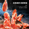 大白熊北极甜虾1.5kg 商品缩略图3