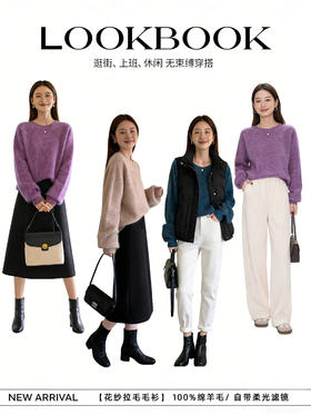 臣禾	【花纱拉毛毛衫】100%绵羊毛 圆领落肩袖慵懒毛衣针织衫	JZ254090775