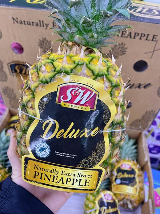 SW凤梨一个（菠萝） 商品图0