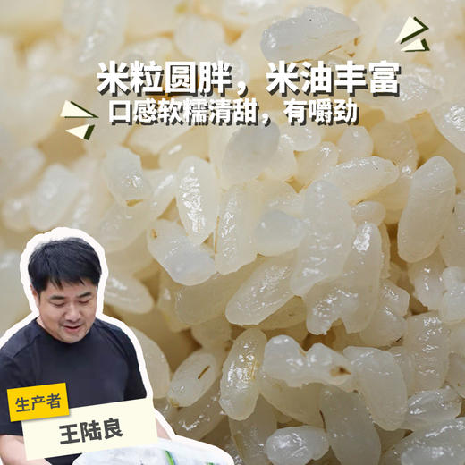 生态粳米（胚芽米 糙米 白米，中通快递） | 合作生产* Ecological japonica rice| Partner Production 商品图0