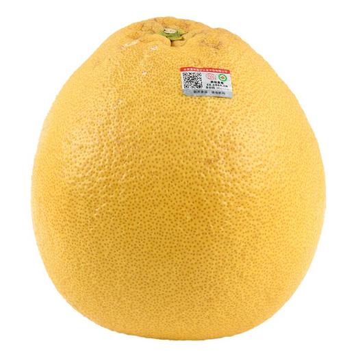 有机马家柚 约1.2kg/个  柚子 商品图0