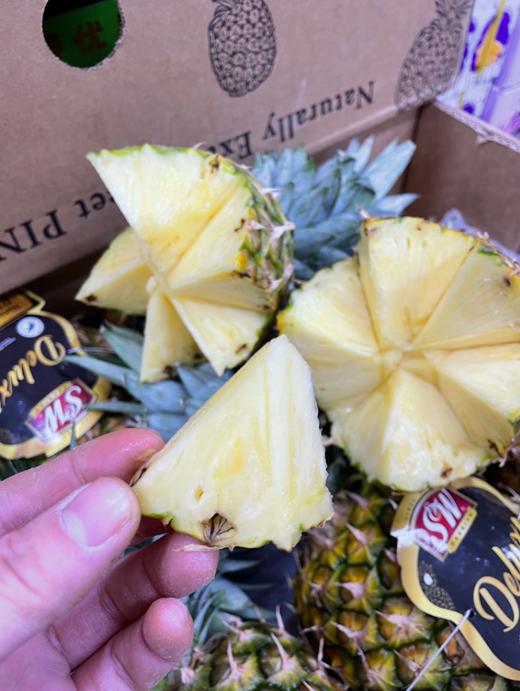 SW凤梨一个（菠萝） 商品图1