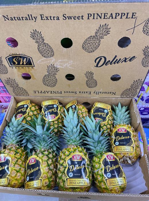 SW凤梨一个（菠萝） 商品图2