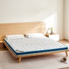 自然醒亲肤3E椰棕泰国乳胶床垫-格调蓝 SA 商品缩略图6