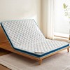 自然醒亲肤3E椰棕泰国乳胶床垫-格调蓝 SA 商品缩略图9