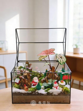 房屋微景观（大）