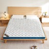 自然醒亲肤3E椰棕泰国乳胶床垫-格调蓝 SA 商品缩略图14