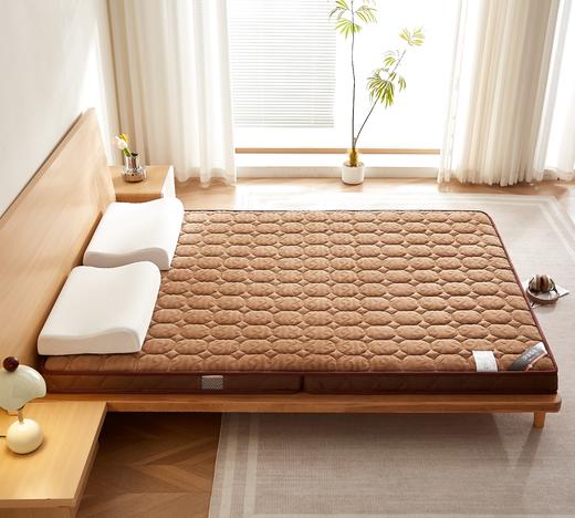 自然醒宝宝绒乳胶椰棕海绵床垫-格调 SA 商品图9