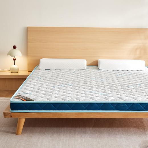 自然醒亲肤3E椰棕泰国乳胶床垫-格调蓝 SA 商品图4