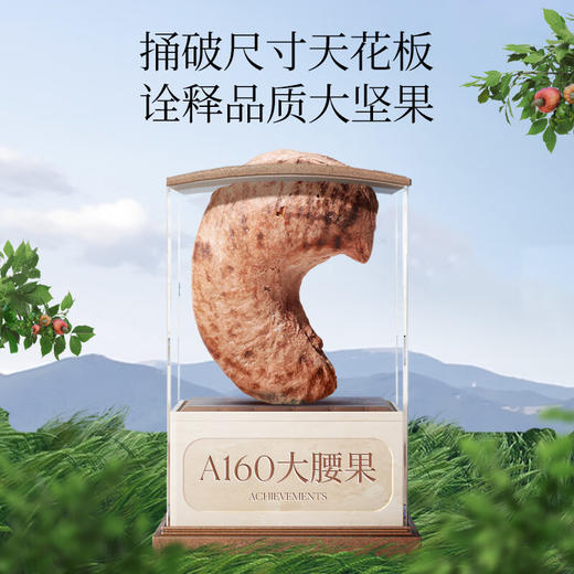 觅菓柬埔寨A160大紫衣腰果268g 152814 每日坚果干果 商品图1