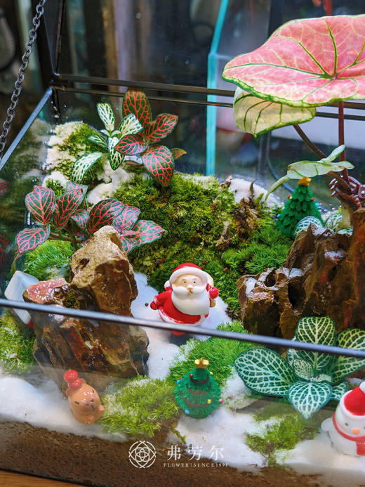 房屋微景观（大） 商品图2