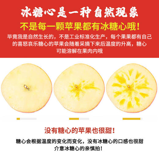 【严选】【 新疆阿克苏冰糖心】原产地阿克苏冰糖心苹果新鲜当季水果精选大果型  8斤 商品图3