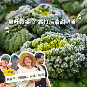 生态黄心乌 | 绿家自产 * Ecological Yellow-heart Chinese Flat Cabbage | In-House Production