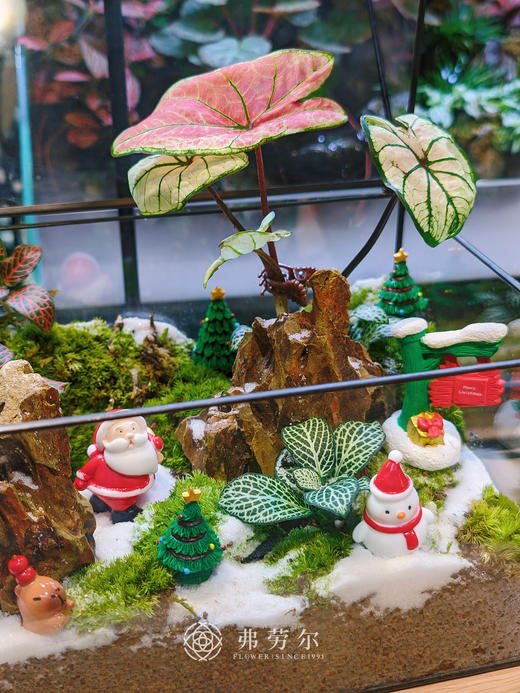 房屋微景观（大） 商品图3