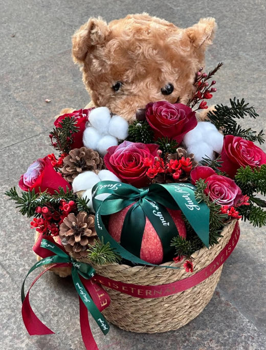 圣诞平安果抱抱熊 商品图0