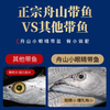 【咏礼记舟山小眼带鱼礼盒】来自北纬30°的一口鲜！全国首批海鲜类地理标志产品，油脂丰富，肉质鲜美。（下单48-72h发货）（2.13-2.24停发） 商品缩略图7