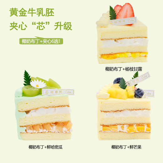 派对圆滚滚（限7-9英寸） 商品图2