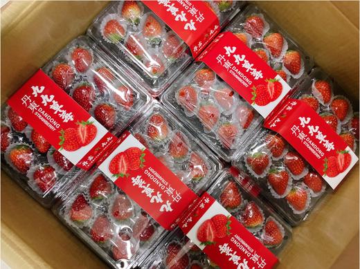 水晶盒15粒草莓2盒 商品图0
