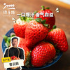 生态草莓（河南）  |合作生产 * Ecological strawberry | Coproduction 商品缩略图0