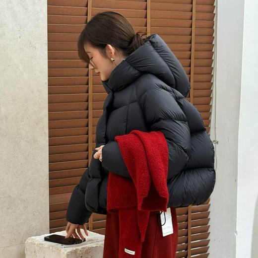 【预售7天】良木礼连帽鹅绒服（1323） 商品图3