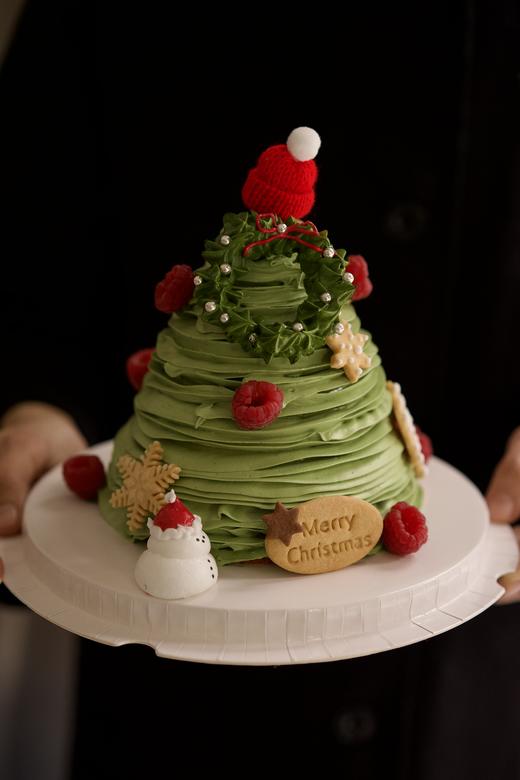 【圣诞系列】圣诞开心果树 商品图0