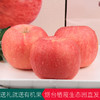 烟台果都沣林园有机苹果礼盒12枚礼盒装 （单果果径85mm)（商） 商品缩略图2