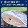 【咏礼记舟山小眼带鱼礼盒】来自北纬30°的一口鲜！全国首批海鲜类地理标志产品，油脂丰富，肉质鲜美。（下单48-72h发货）（2.13-2.24停发） 商品缩略图6