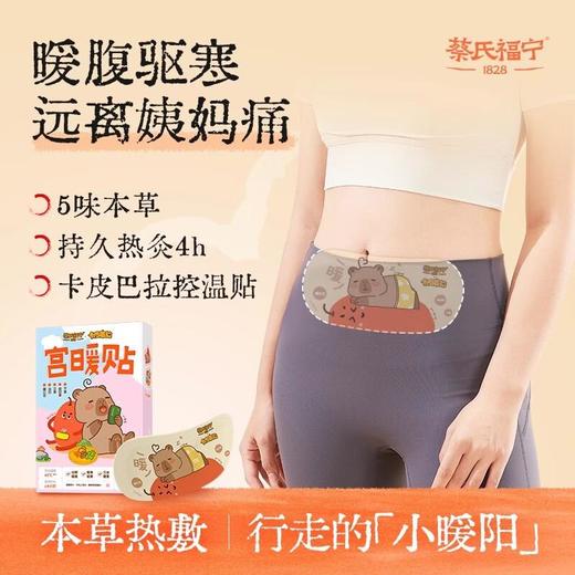 蔡氏福宁 藏红花益母草宫暖贴（基础款/联名款） 商品图1