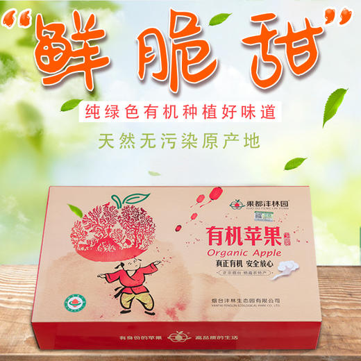 烟台果都沣林园有机苹果礼盒12枚礼盒装 （单果果径85mm)（商） 商品图0