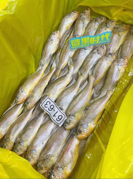黄花鱼一箱 商品图1