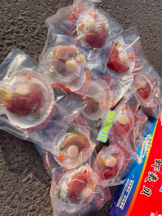 扇贝王礼盒 商品图4