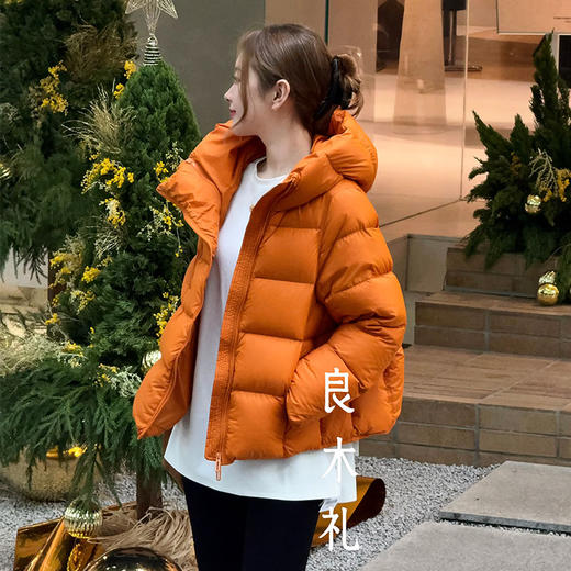 【特价不退换】【预售7天】良木礼羽绒连帽外套（1784） 商品图2