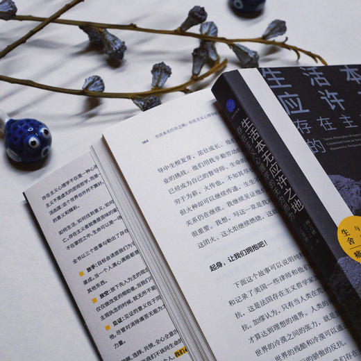生活本无应许之地:存在主义心理学的无为而为 杨吉膺 存在主义 人本心理学 心理咨询 心理学读物 商品图4