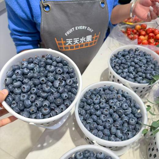 花香蓝莓 15+中果 商品图6