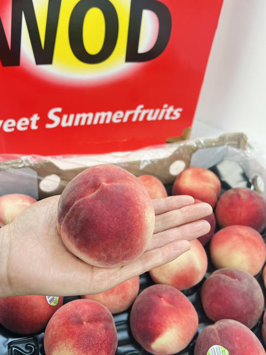 澳洲空运✈️白肉水蜜桃🍑——硬的脆爽，很甜～桃味浓，软后爆汁 商品图1