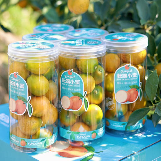 融安耘端脆蜜金柑 金桔 超好吃 商品图5