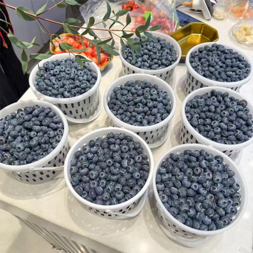 花香蓝莓 15+中果 商品图5