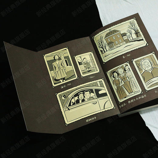 尚未缴械就是美好生活 加拿大漫画大师赛斯代表作 丧式美好生活指南 献给不愿投降，终将幸福的你 商品图3