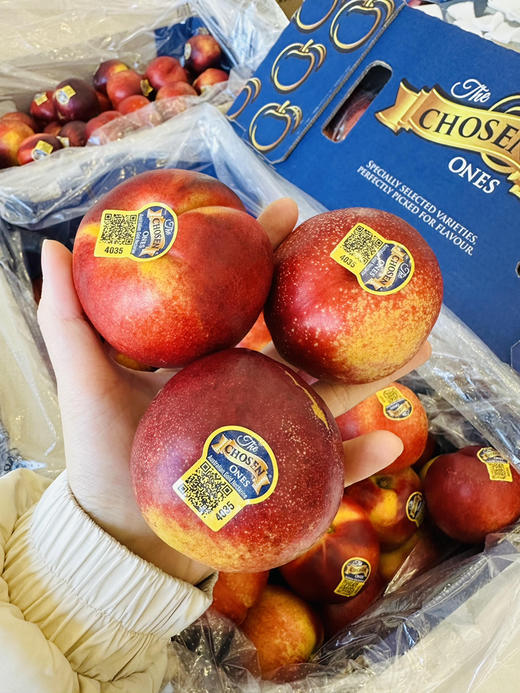 澳洲✈️金腰带黄肉油桃🍑。香甜爽口 😋水分超足。吃一口[色] 一种新鲜的感觉扑面而来 ！清甜 浓浓桃味儿，吃完满嘴的桃香💯 商品图5