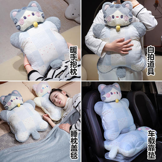 自然醒抱抱猫豆袋三用玩偶抱枕QYL 商品图6